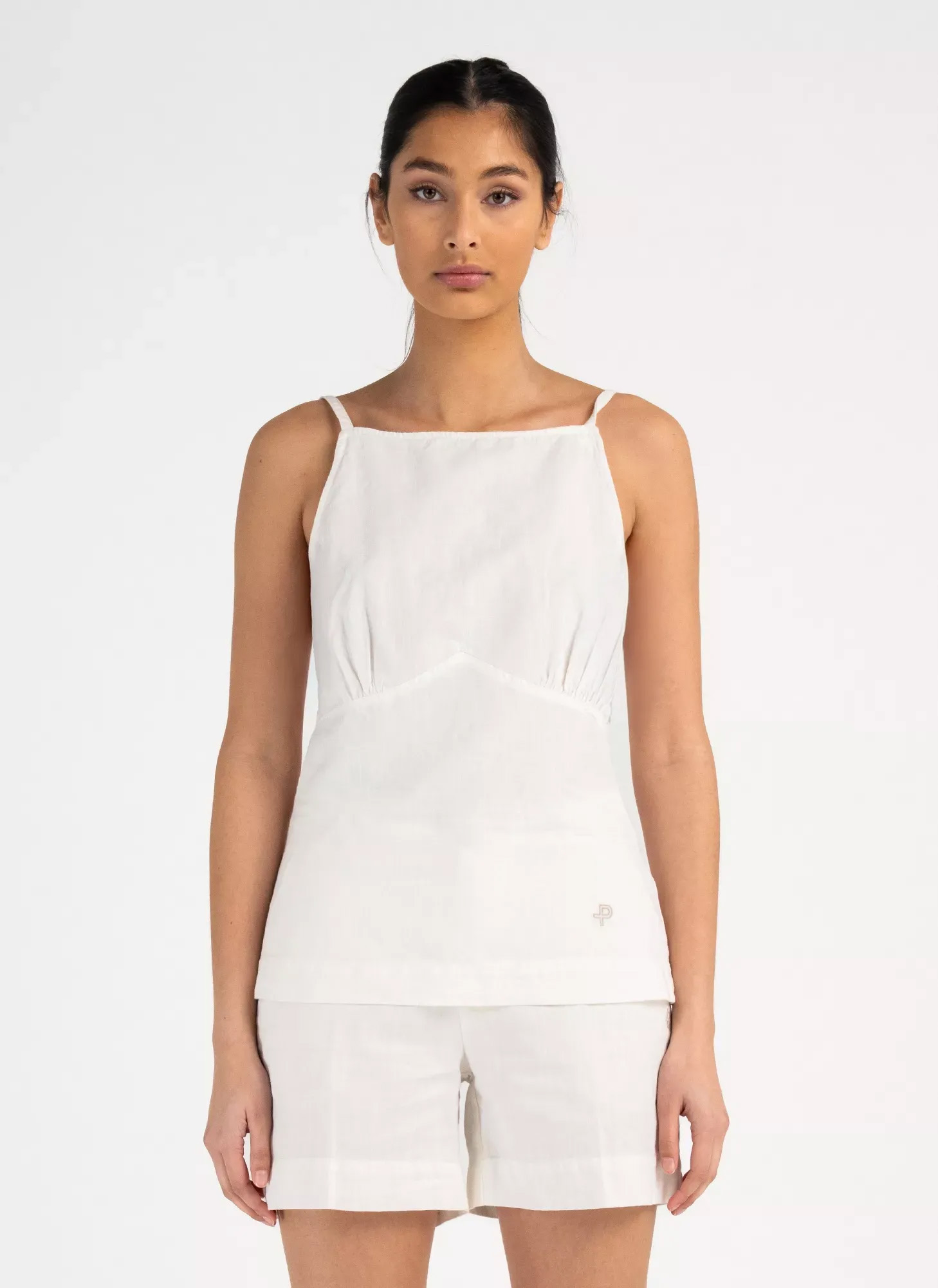 sand dollar white