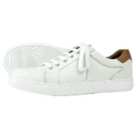white/tan